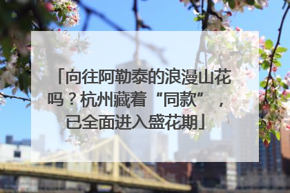 向往阿勒泰的浪漫山花吗？杭州藏着“同款”，已全面进入盛花期