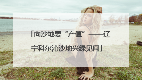 向沙地要“产值”——辽宁科尔沁沙地兴绿见闻
