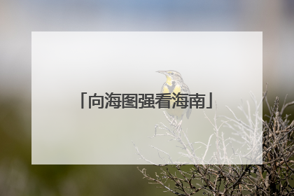 向海图强看海南