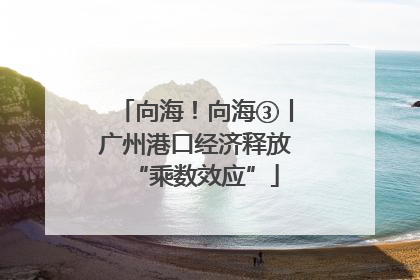 向海！向海③丨广州港口经济释放“乘数效应”