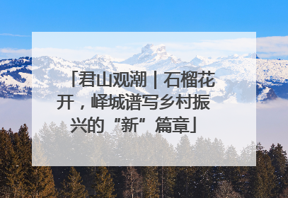 君山观潮｜石榴花开，峄城谱写乡村振兴的“新”篇章