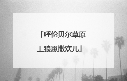 呼伦贝尔草原上狼崽撒欢儿