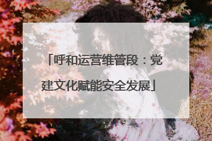 呼和运营维管段：党建文化赋能安全发展