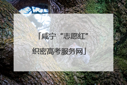 咸宁“志愿红”织密高考服务网
