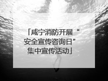 咸宁消防开展“安全宣传咨询日”集中宣传活动
