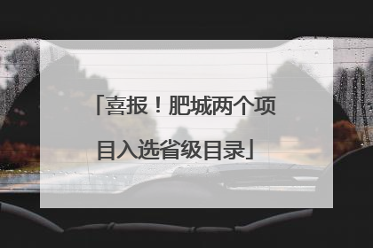 喜报！肥城两个项目入选省级目录