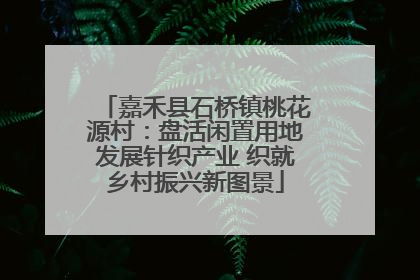 嘉禾县石桥镇桃花源村：盘活闲置用地发展针织产业 织就乡村振兴新图景