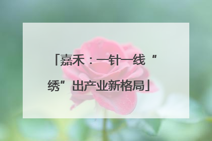嘉禾：一针一线“绣”出产业新格局