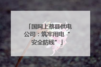 国网上蔡县供电公司：筑牢用电“安全防线”