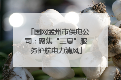 国网孟州市供电公司：聚焦“三夏”服务护航电力清风