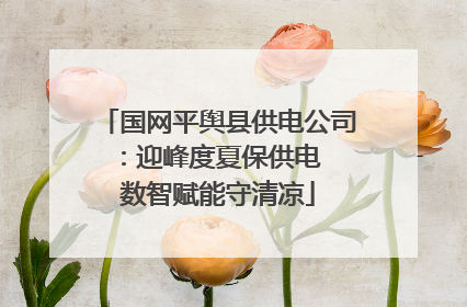 国网平舆县供电公司：迎峰度夏保供电  数智赋能守清凉