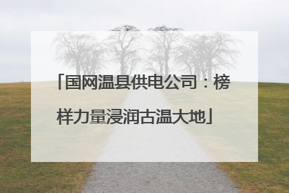 国网温县供电公司：榜样力量浸润古温大地
