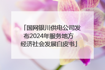国网银川供电公司发布2024年服务地方经济社会发展白皮书