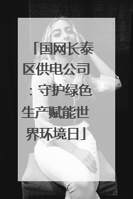 国网长泰区供电公司：守护绿色生产赋能世界环境日
