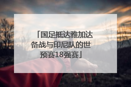国足抵达雅加达备战与印尼队的世预赛18强赛