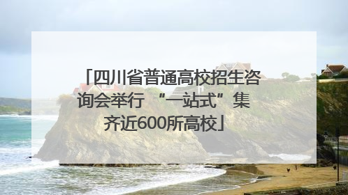 四川省普通高校招生咨询会举行 “一站式”集齐近600所高校