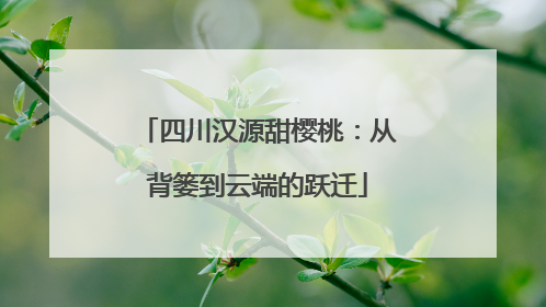 四川汉源甜樱桃：从背篓到云端的跃迁
