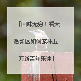 回味无穷！看天衢新区如何宠坏五万新青年乐迷