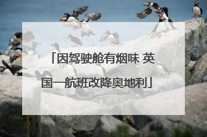 因驾驶舱有烟味 英国一航班改降奥地利