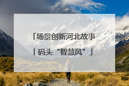 场景创新河北故事丨码头“智慧风”