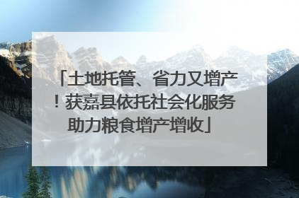 土地托管、省力又增产！获嘉县依托社会化服务助力粮食增产增收