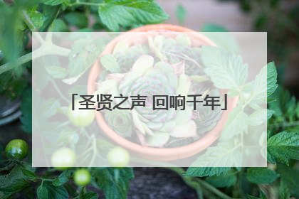 圣贤之声 回响千年