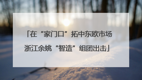 在“家门口”拓中东欧市场 浙江余姚“智造”组团出击
