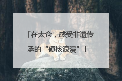 在太仓，感受非遗传承的“硬核浪漫”