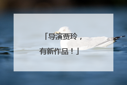 导演贾玲，有新作品！