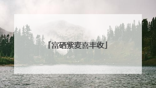 富硒紫麦喜丰收