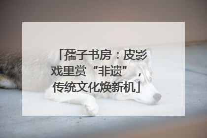 孺子书房：皮影戏里赏“非遗”，传统文化焕新机