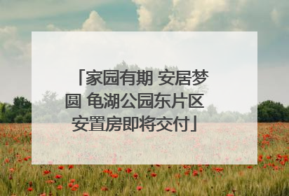 家园有期 安居梦圆 龟湖公园东片区安置房即将交付