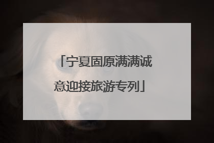 宁夏固原满满诚意迎接旅游专列