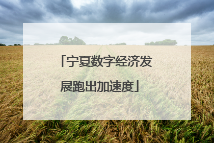 宁夏数字经济发展跑出加速度