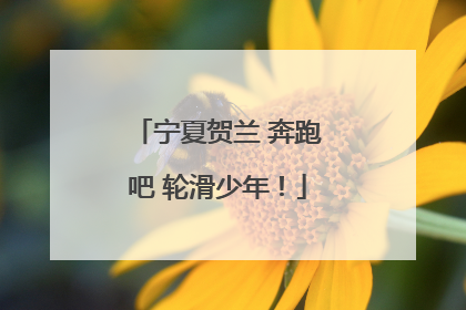 宁夏贺兰 奔跑吧 轮滑少年！