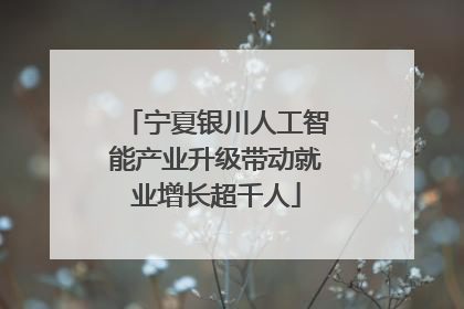 宁夏银川人工智能产业升级带动就业增长超千人