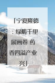 宁夏隆德：绿畴千里展画卷 药香四溢产业兴