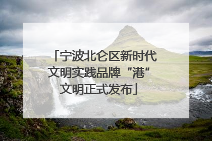 宁波北仑区新时代文明实践品牌“港”文明正式发布