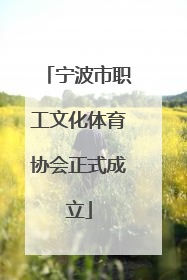 宁波市职工文化体育协会正式成立