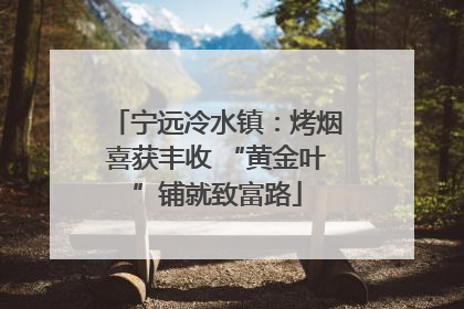 宁远冷水镇：烤烟喜获丰收 “黄金叶”铺就致富路