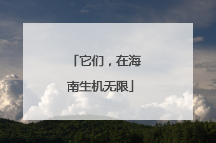 它们，在海南生机无限