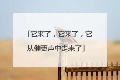 它来了，它来了，它从催更声中走来了