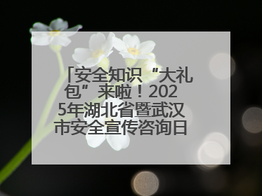 安全知识“大礼包”来啦！2025年湖北省暨武汉市安全宣传咨询日活动在汉举行