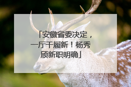 安徽省委决定，一厅干履新！杨秀颀新职明确