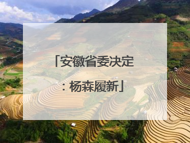 安徽省委决定：杨森履新