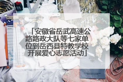 安徽省岳武高速公路路政大队等七家单位到岳西县特教学校开展爱心志愿活动