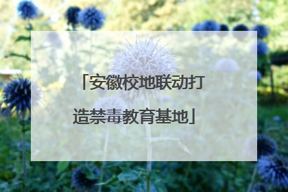 安徽校地联动打造禁毒教育基地
