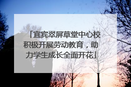 宜宾翠屏草堂中心校积极开展劳动教育，助力学生成长全面开花