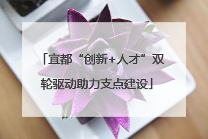 宜都“创新+人才”双轮驱动助力支点建设