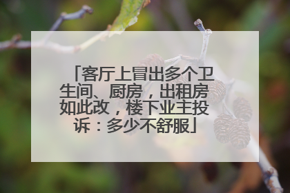 客厅上冒出多个卫生间、厨房，出租房如此改，楼下业主投诉：多少不舒服